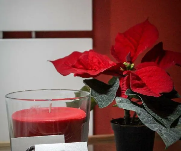 Del Viale Frühstückspension 3*